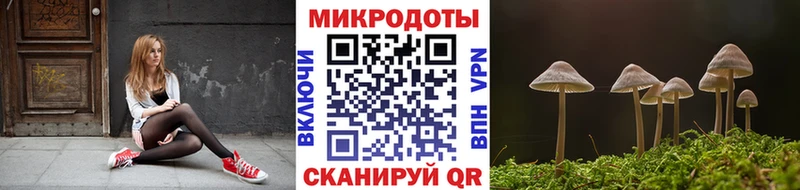 Галлюциногенные грибы GOLDEN TEACHER Тейково